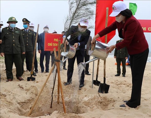 Вице-президент запустила кампанию “Тэт посадки деревьев в вечную благодарность Дядюшке Хо” hinh anh 1