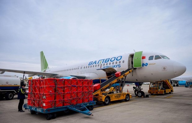 Bamboo Airways предоставляет бесплатную перевозку медицинского оборудования в Хаизыонг hinh anh 1