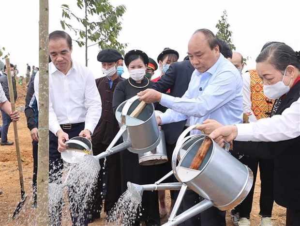 Премьер-министр запустил кампанию “Тэт посадки деревьев” по случаю лунного Нового года 2021 в провинции Туенкуанг hinh anh 1