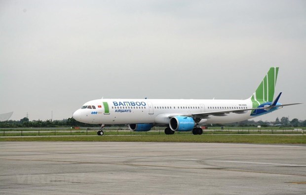 Авиакомпания Bamboo Airways увеличит уставныи капитал до 10.500 млрд. донгов hinh anh 1