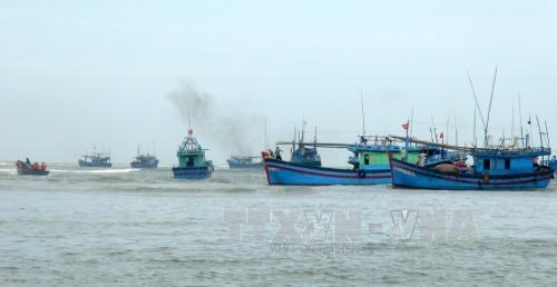 Бариа-Вунгтау ужесточит меры против незаконного рыболовства в иностранных водах hinh anh 1