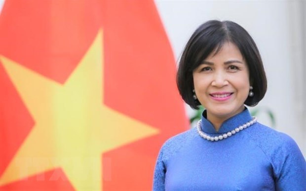 Вьетнам принял участие в переговорах ВТО по субсидиям для рыболовства hinh anh 1