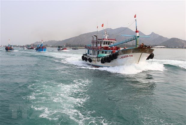 Усилия по отмене “желтои карточки” ННН: Вьетнам стремится бороться с незаконнои рыбнои ловлеи hinh anh 1