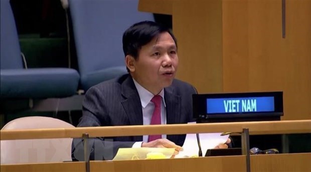 Вьетнам поддерживает деятельность МООНЮС hinh anh 1