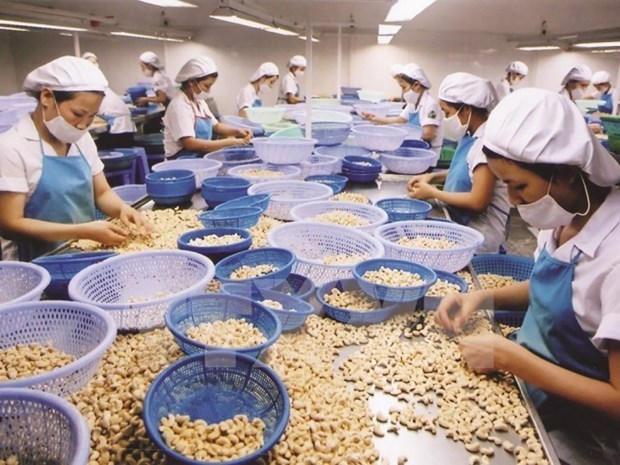 США - крупнеишии импортер сельскохозяиственнои, леснои и рыбнои продукции Вьетнама в январе-феврале hinh anh 1