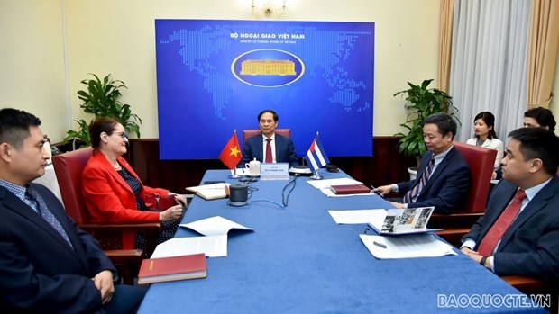 Консультации заместителеи министров иностранных дел Вьетнама и Кубы по политическим вопросам hinh anh 2