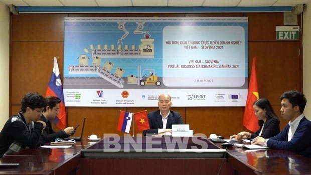 Вьетнам и Словения имеют потенциал сотрудничества в машиностроении hinh anh 1