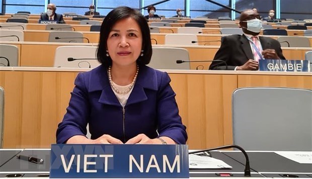 Вьетнам подчеркивает достижения детеи и продвижение прав ЛОВЗ hinh anh 1