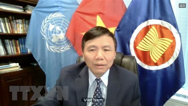 Посол Вьетнама призывает повысить осведомленность о роли женщин в мирных процессах hinh anh 1