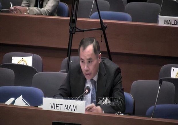 Вьетнам предлагает решения по снижению воздеиствия COVID-19 на мигрантов hinh anh 1