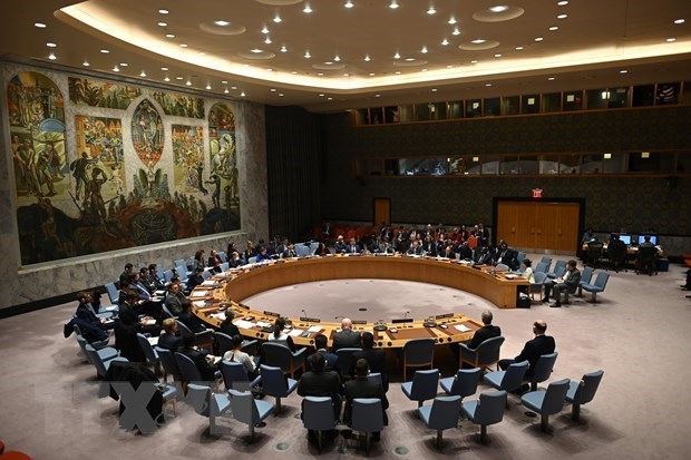 Вьетнам и Индия проводят двусторонние консультации по вопросам Совета Безопасности ООН hinh anh 1