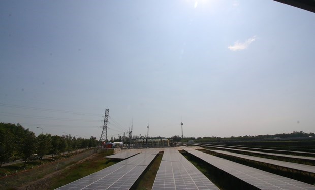 Первая солнечная электростанция в дельте реки Меконг построена в Хаужанге hinh anh 1