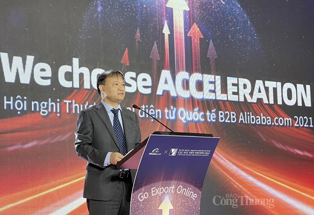 Сотрудничество с Alibaba.com в развитии интернет-экспорта hinh anh 2
