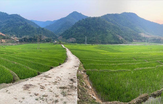 Премьер-министр Вьетнама обнародовал директиву о развитии приграничных территории hinh anh 3