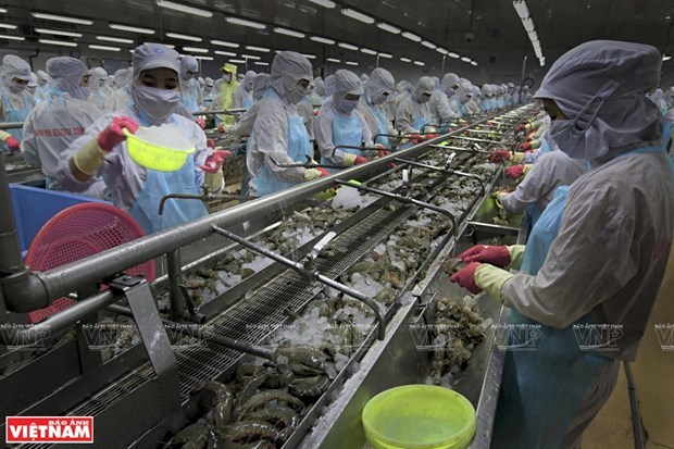Развивать рыболовство в жизненно важныи сектор экономики hinh anh 1