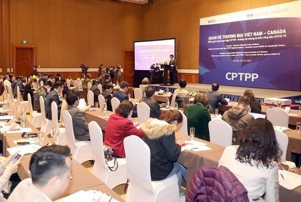 CPTPP способствует развитию торговых связеи Вьетнама и Канады hinh anh 1