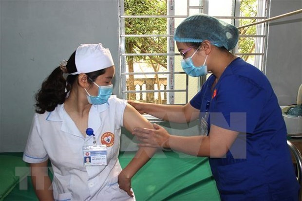 Во Вьетнаме на утро 23 марта новых случаев COVID-19 не зафиксировано hinh anh 1