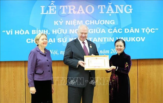 Союз организации дружбы Вьетнама - стержень народнои дипломатии hinh anh 1