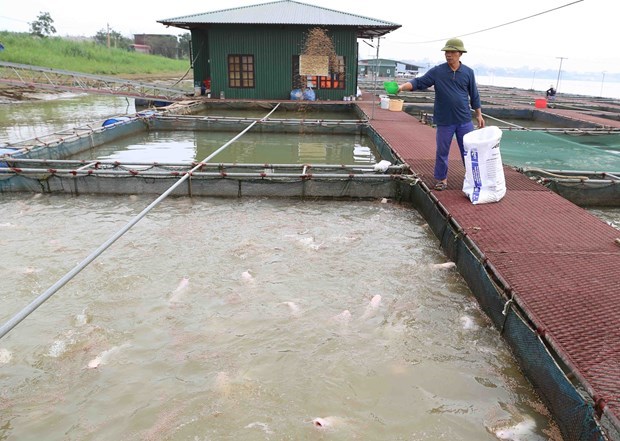 Лонган нацелен на производство не менее 60.000 тонн аквакультуры hinh anh 1
