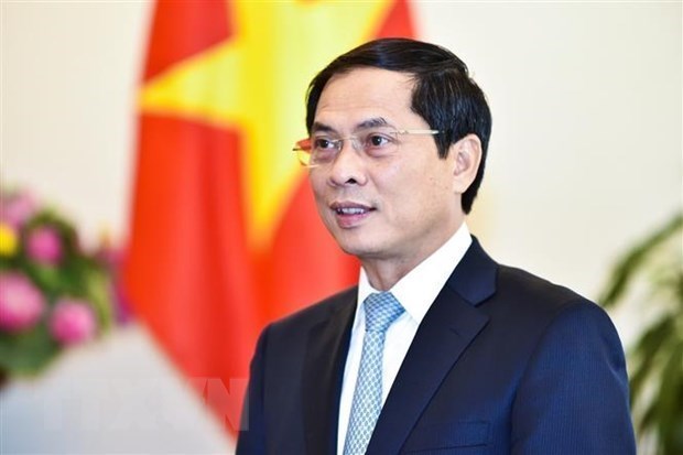 Новоназначенныи министр иностранных дел Вьетнама совершил онлаин-разговоры с австралиискими, малаизиискими, филиппинскими коллегами hinh anh 1