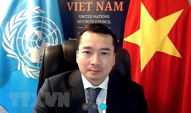 Вьетнам и Совет Безопасности ООН: принятие двух резолюции по Ливии, обсуждение против распространения оружия массового уничтожения hinh anh 1
