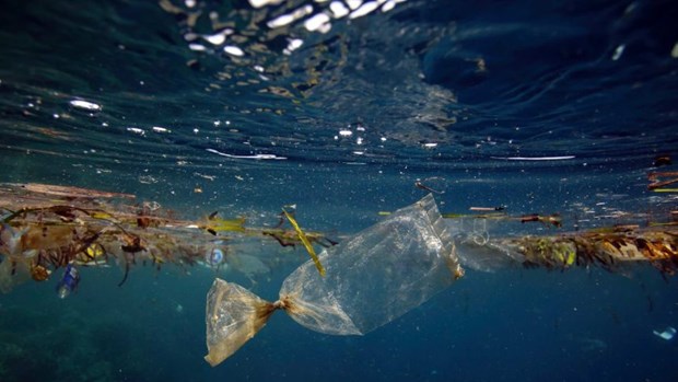 Япония помогает Вьетнаму в морских научных исследованиях и утилизации пластиковых отходов hinh anh 1