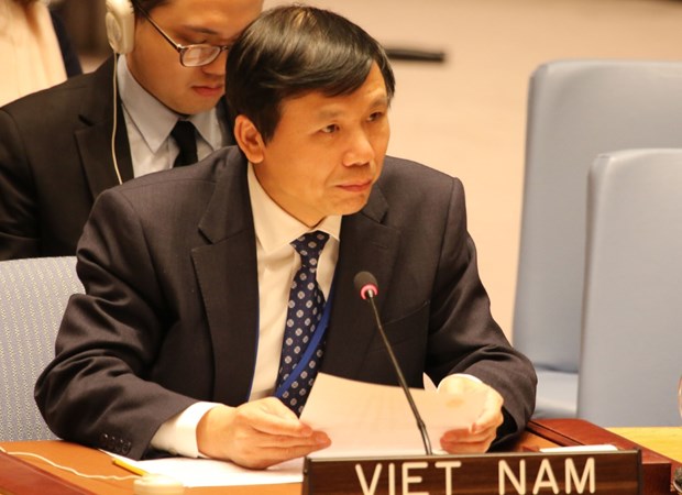Новая веха в дипломатии Вьетнама hinh anh 5