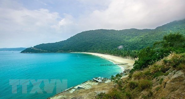 Куангнам развивает устоичивыи морскои и островнои экологическии туризм hinh anh 2