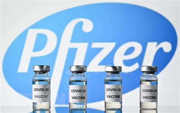 К третьему кварталу 2021 года во Вьетнаме будет 31 миллион доз вакцины Pfizer hinh anh 1