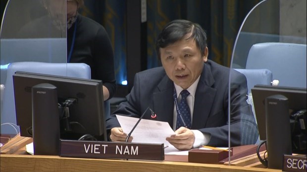 Вьетнам призывает к возобновлению переговоров по вопросу о Палестине hinh anh 1