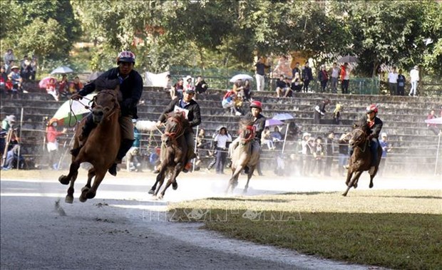 Фестиваль конных скачек Бакха стал национальным нематериальным культурным наследием hinh anh 1