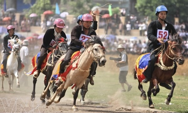 Фестиваль конных скачек Бакха стал национальным нематериальным культурным наследием hinh anh 2