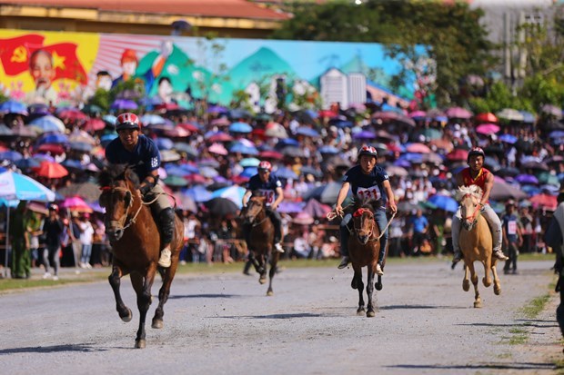 Фестиваль конных скачек Бакха стал национальным нематериальным культурным наследием hinh anh 3
