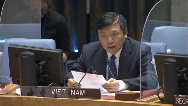 Вьетнам председательствует на заседании Неофициальнои рабочеи группы СБ ООН по международным трибуналам hinh anh 1