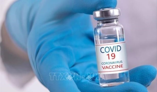 В 2021 году Вьетнам получит более 120 миллионов доз вакцины против COVID-19 hinh anh 1