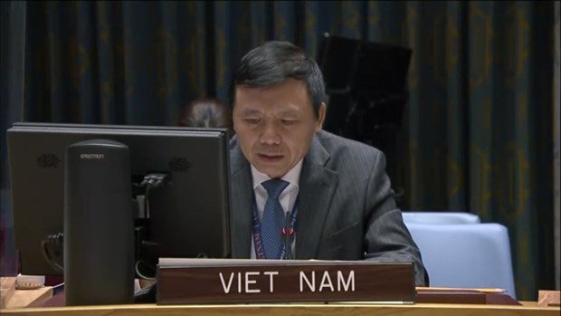 Вьетнам обещает повысить роль Устава ООН и международного права hinh anh 1