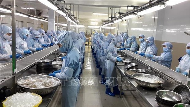 Во Вьетнаме 620 промышленных предприятии по переработке аквакультуры hinh anh 1