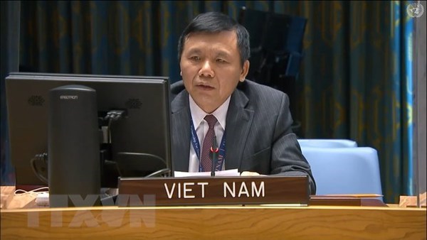 Вьетнам призывает Мали активизировать усилия по национальному примирению hinh anh 1