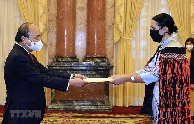 Президент Нгуен Суан Фук принял иностранных послов hinh anh 1