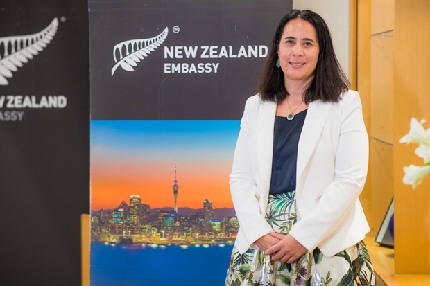 Посол Новои Зеландии высоко оценил отношения с Вьетнамом hinh anh 2