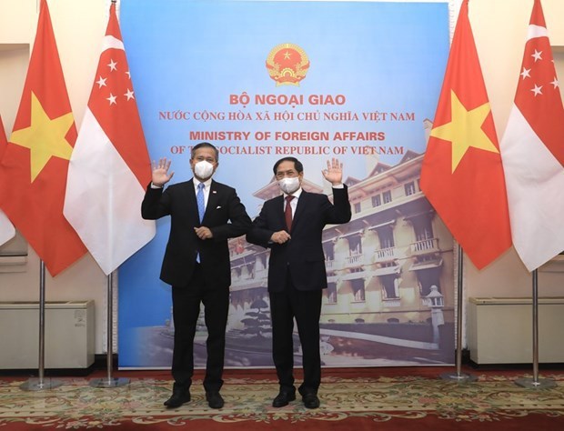 Вьетнам и Сингапур: к двустороннему соглашению о цифровои экономике hinh anh 1