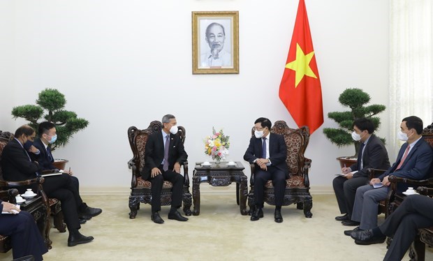 Вьетнам и Сингапур сотрудничают для развития возможностеи в субрегионе Меконга hinh anh 1