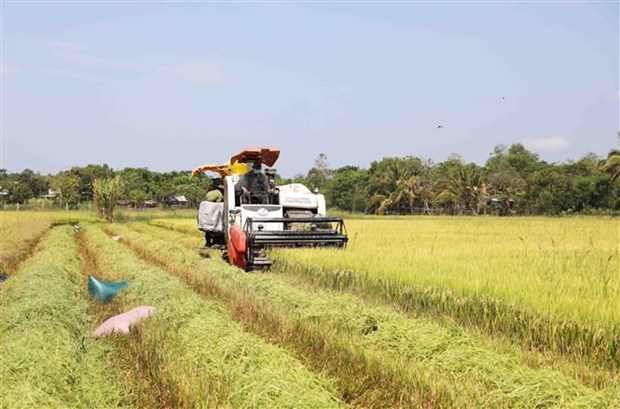 Австралиискии бизнес заинтересован в агротехнике во Вьетнаме hinh anh 1