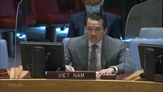 Вьетнам призывает к расширению сотрудничества для решения проблемы нестабильности в Центральноафриканскои Республике и Сирии hinh anh 1