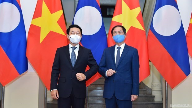 Вьетнам и Лаос за активизацию дипломатических связеи hinh anh 1