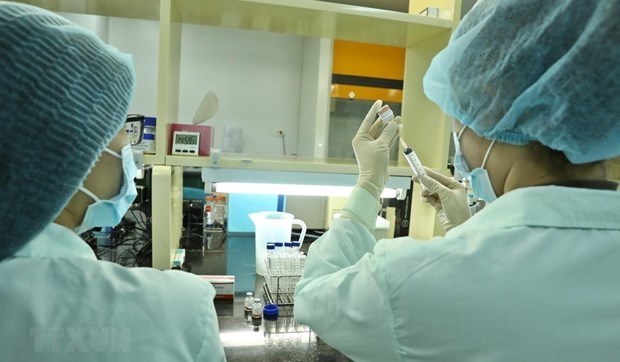 Вьетнам призывает ВБ поддержать исследования и производство вакцин hinh anh 1