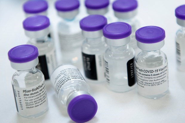 Первая партия вакцины Pfizer, вероятно, прибудет во Вьетнам в июле hinh anh 1