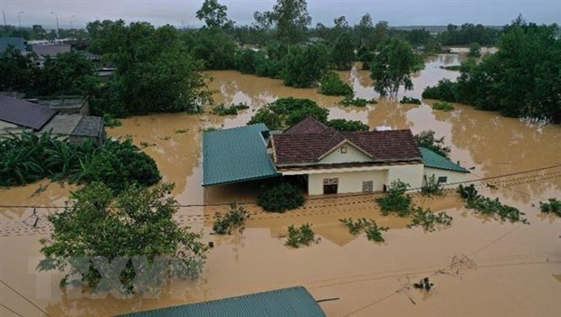 Стихииные бедствия в первом полугодии обошлись Вьетнаму в 508 млрд донгов hinh anh 1