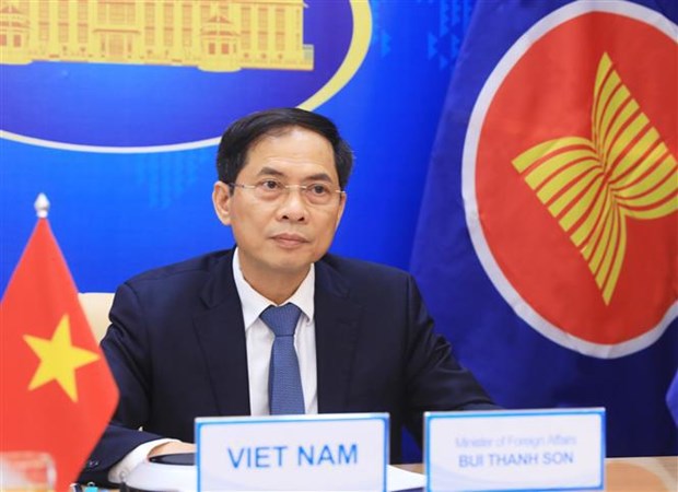 Вьетнам принял участие в спецсовещании министров иностранных дел России и АСЕАН hinh anh 1
