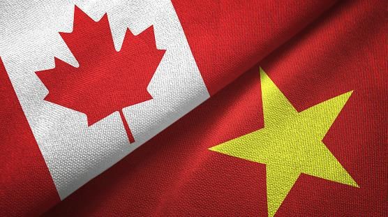Вьетнам и Канада проводят двусторонние консультации по вопросам обороны hinh anh 1
